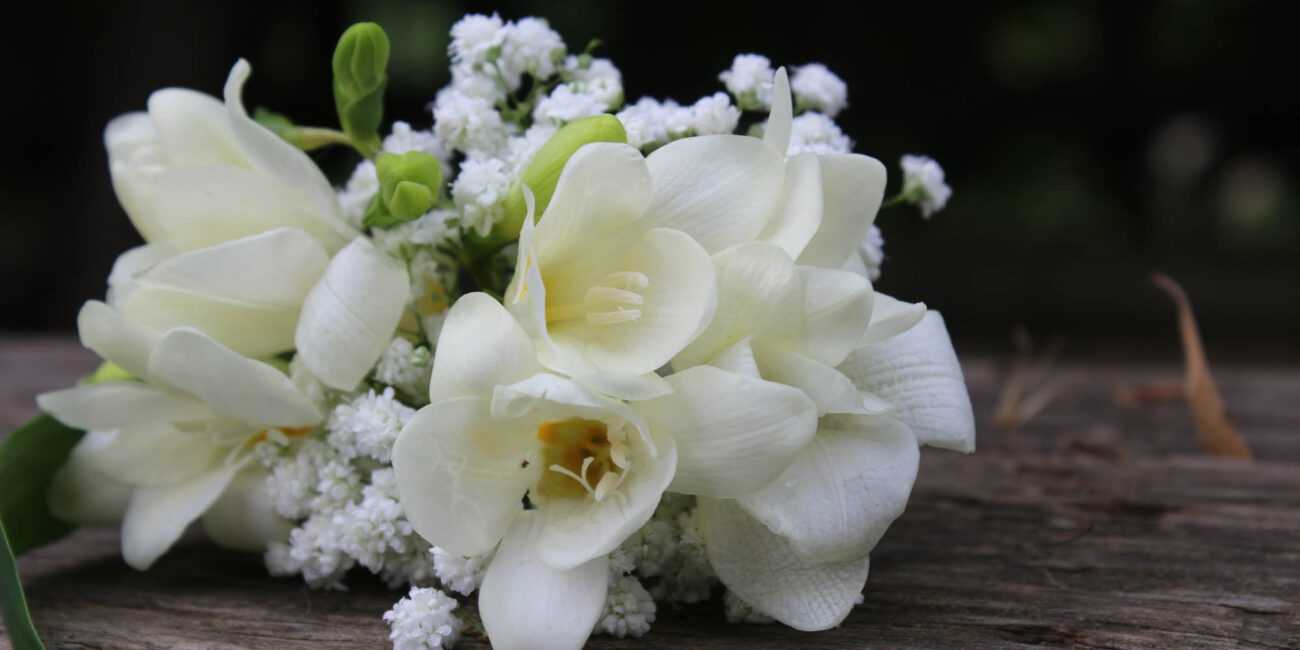 litsapsifaki xeiropoiita kosmimata