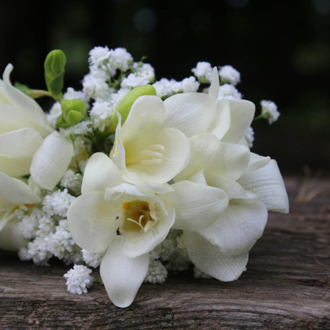 litsapsifaki xeiropoiita kosmimata